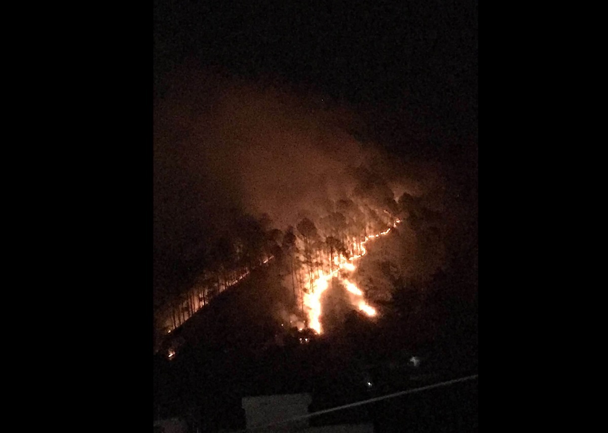 गोदावरीको गुरूङे डाँडामा लागेको डढेलो। तस्बिर स्रोतः पुजन घिमिरे
